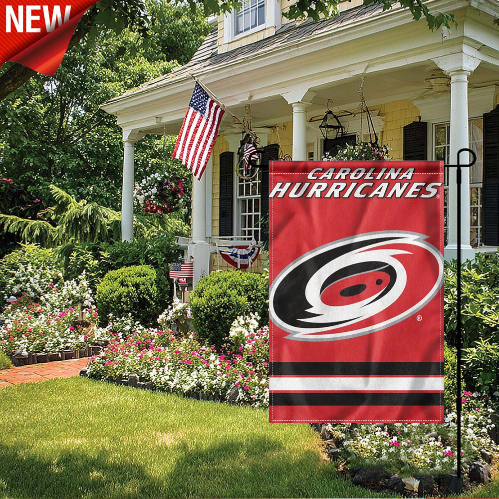 1PC, Carolina Hurricanes Garde – Home Improvement Game Bewertung und Preis