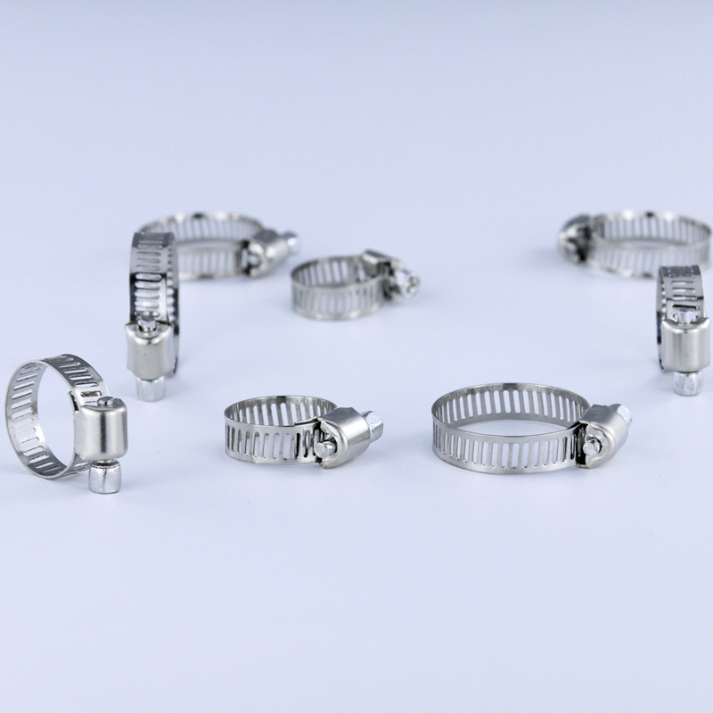40/50Pcs Stainless Steel Hose  – Hose Clamp Assorted Bewertung und Preis